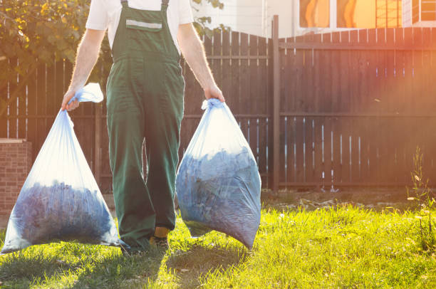 Professional Junk Removal in Rio Rico, AZ