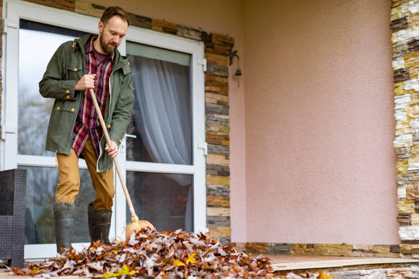 Commercial Cleanout Services in Rio Rico, AZ